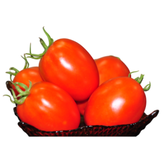 Precious Tomato From Known You Seed (India) (1)-KYI
